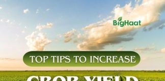 6 TIPS TO INCREASE CROP YIELD