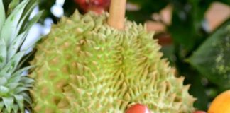 top 5 exotic fruits