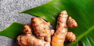 GI Tag Recognition for Lakadong Turmeric in Meghalaya