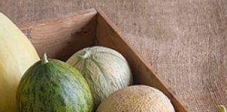 Types of muskmelon