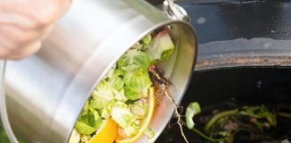 how to compost