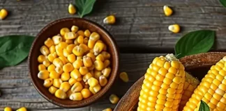 Corn and its Byproducts