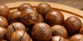 Complete Guide on Macadamia Farming And It's Benefits