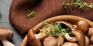 Mushrooms Health Benefits and Nutritional Value