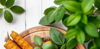 A colorful arrangement of five Indian herbs—fresh Tulsi leaves, bright turmeric root, ashwagandha powder, ginger root, and Amla fruits—showcasing their potential health benefits on a rustic wooden background.