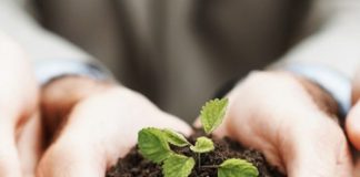 hand_holding_soil