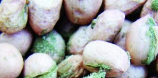 Aflatoxin Contamination In Groundnuts