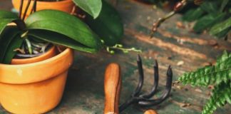 8 essential garden tools