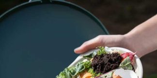 Urban Composting Tips