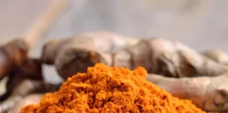 Top Ten Highest Turmeric-Producing States in India