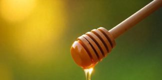 The Secret Behind the Different Natural Honey Flavors