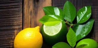 what is the difference between lime and lemon