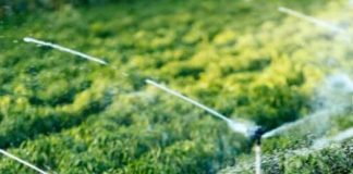 Efficient Irrigation Methods for Modern Agriculture