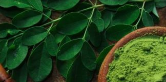 Moringa Powder A Nutrient-Rich Superfood for Health