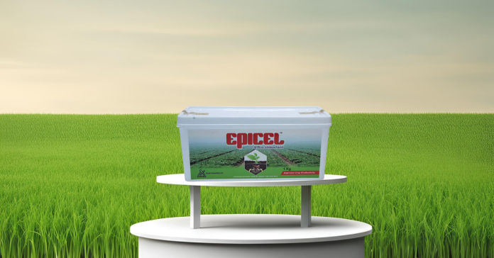 Epicel Canva
