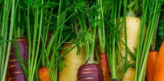 Black Vs Red Carrots The Key Difference Between These Varieties