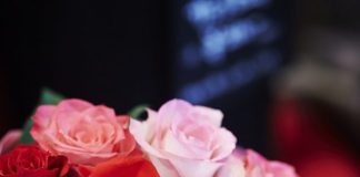 Discover Different Types of Roses and Their Characteristics