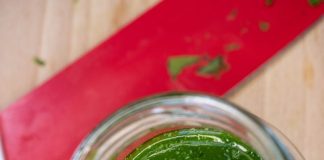 DIY: Green Chilli Garlic Organic Pesticide at Home