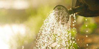 6 Smart Irrigation Hacks to Save Water This Summer