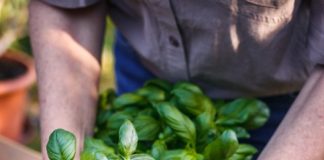 Gardening Myths vs Truth: What Actually Works Best?