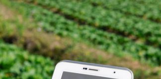 Smart Farming in Action: 5 Tools Changing the Way We Grow