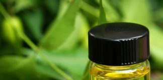 Neem Oil Myths vs Reality: Does it control All Pests?