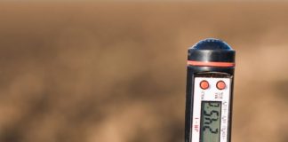 Learn How to Test Soil pH at Home Without a Testing Kit