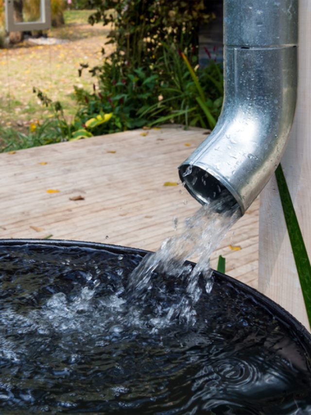 Rainwater Harvesting for Gardens: 6 Easy Ways